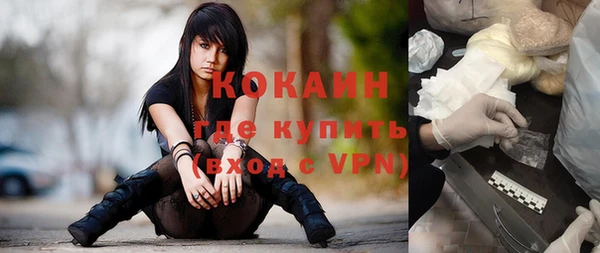 дживик Туринск