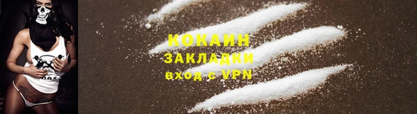 гидра Бронницы