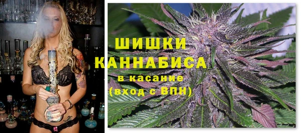 стаф Богородицк