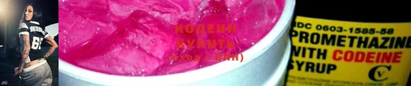 стаф Богородицк