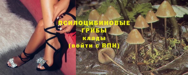 скорость Богданович