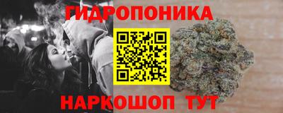 ECSTASY Кинель