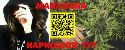 кокс Кингисепп