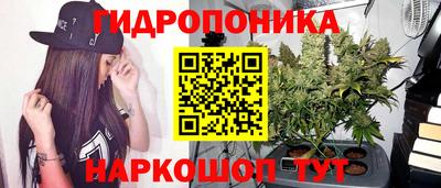 ECSTASY Кинель
