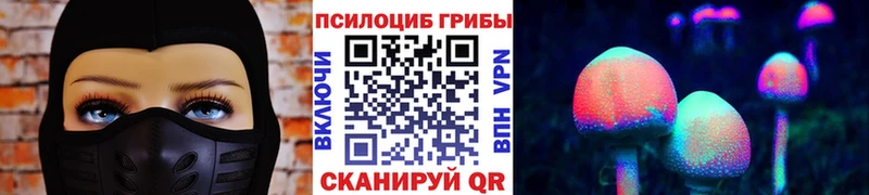 Псилоцибиновые грибы мицелий  это формула  Минеральные Воды 