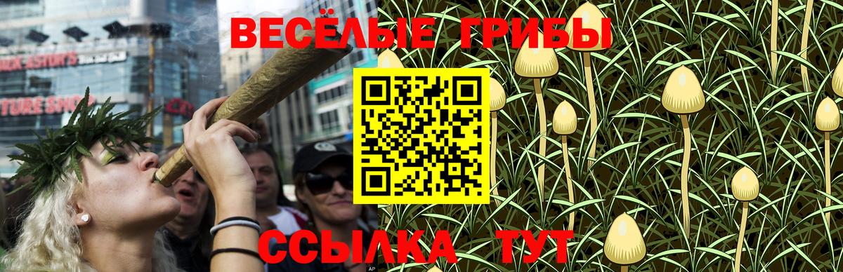 Галлюциногенные грибы MAGIC MUSHROOMS  что такое   Псилоцибиновые грибы Psilocybe  Минеральные Воды  Вход с VPN 